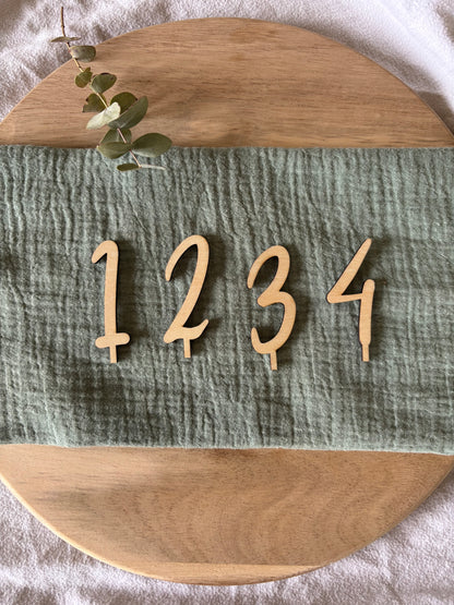 Advent und Weihnachten Steckerset